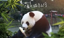 川渝巴蜀雙飛五日游